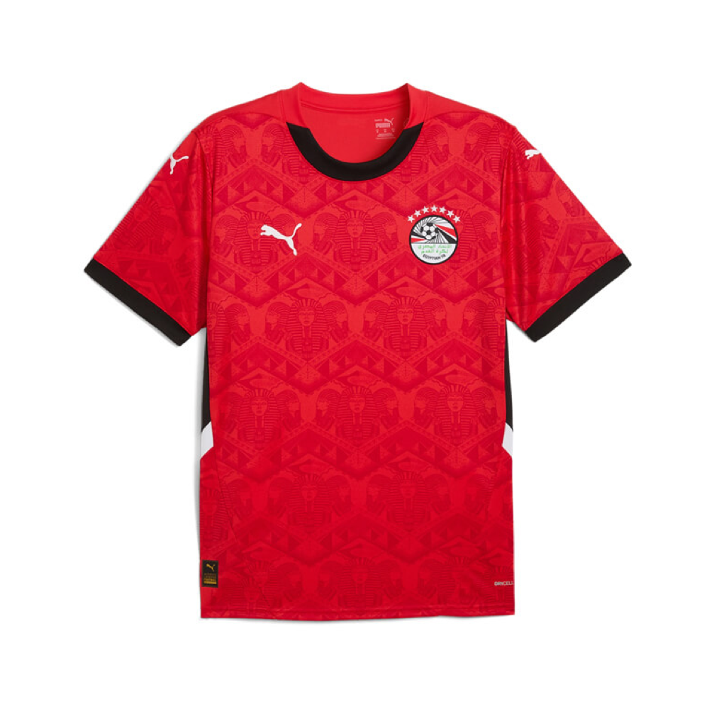 2025 Egypt Home Kit