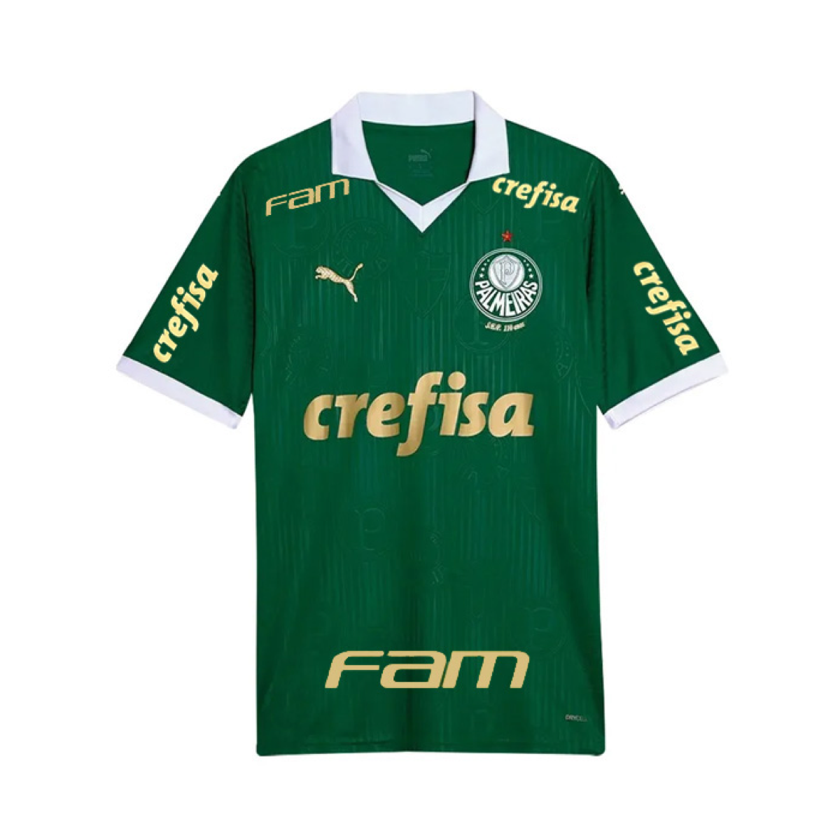 2024-25 SE Palmeiras Home Kit