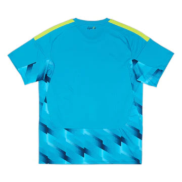 Maillot de gardien de but vert de l'Espagne 2010