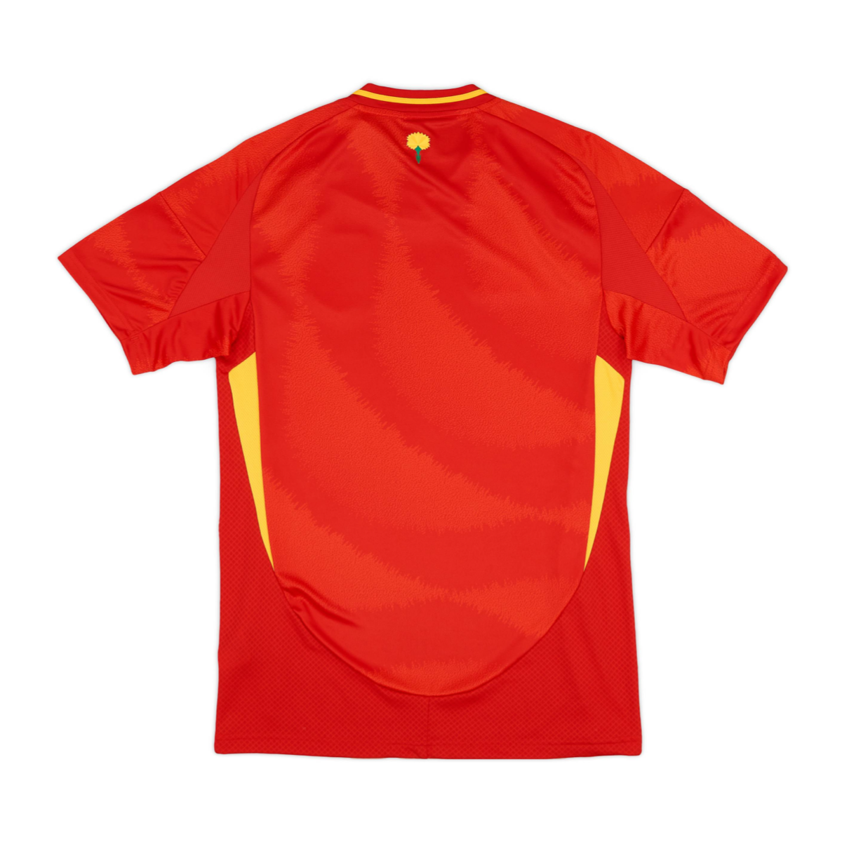 2024 Spain Home Kit