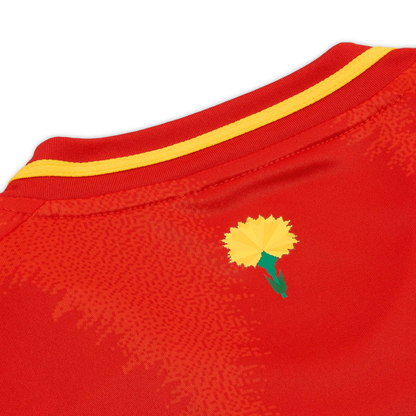 2024 Spain Home Kit