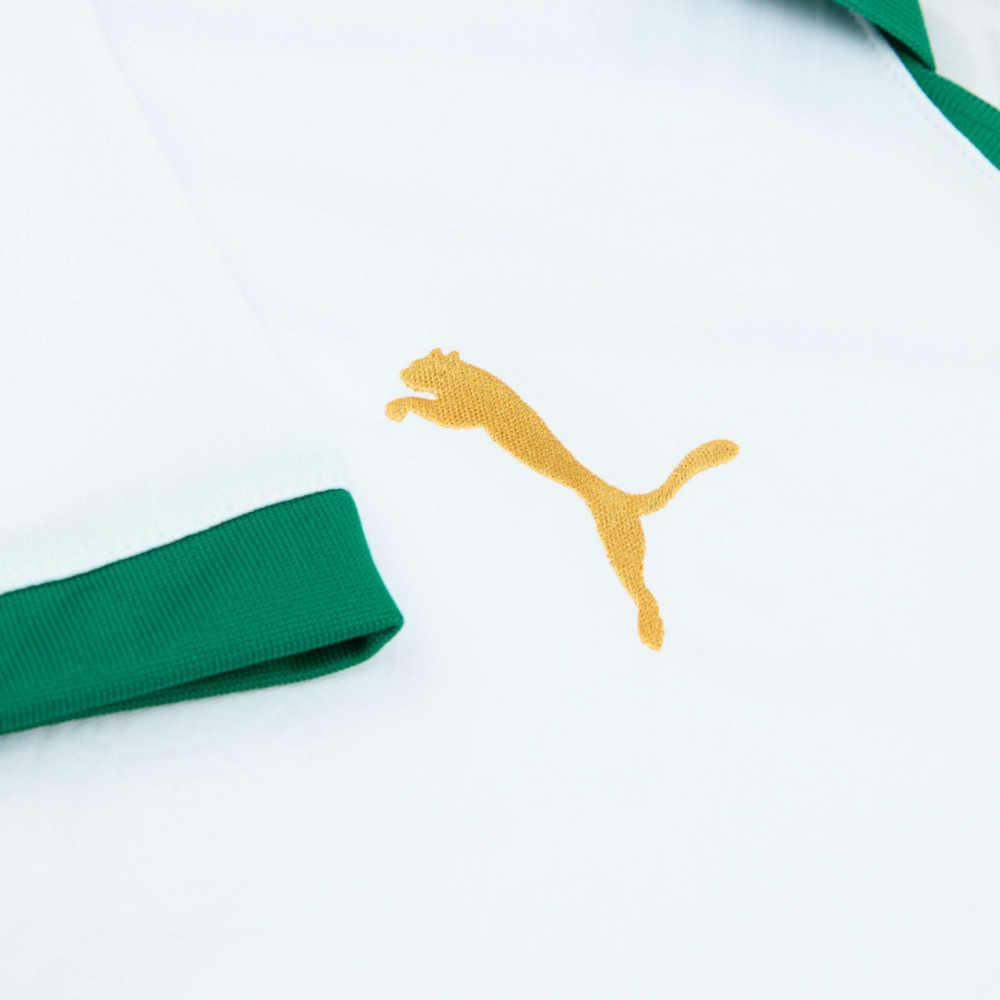 2024-25 SE Palmeiras Away Kit