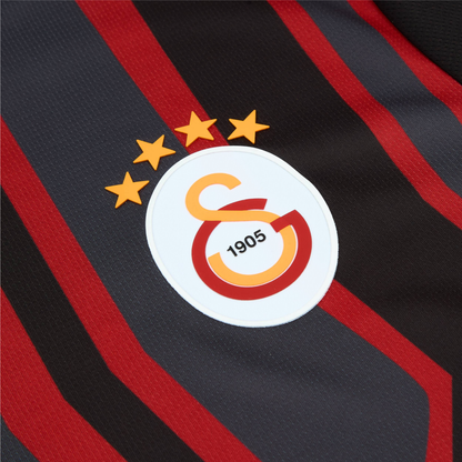 2024-25 Galatasaray SK 3rd Kit