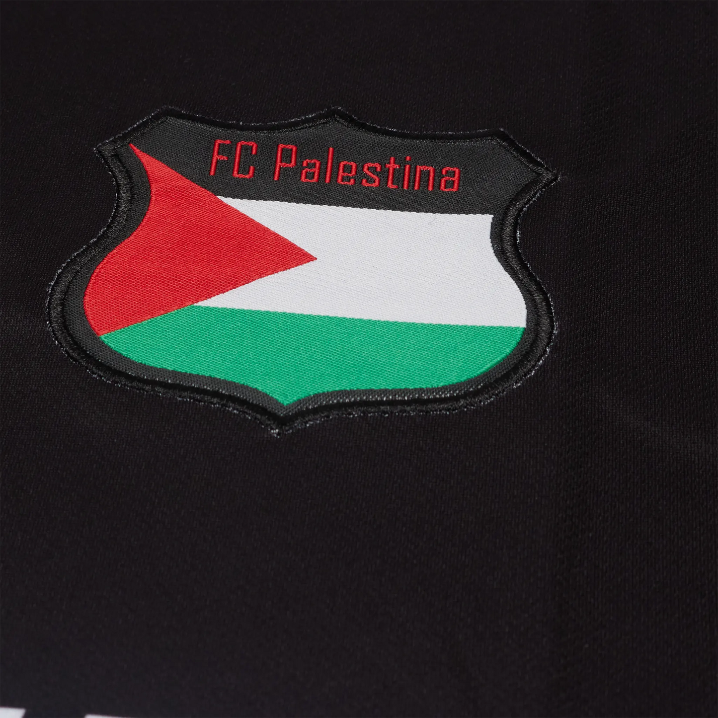 FC Palestina Palestine Red Green Stripe Arabic Black Football T Shirt